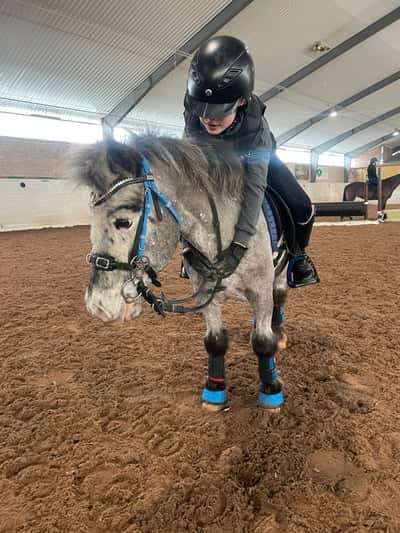 Inlägg 53 av Allround med titeln Träning i träng