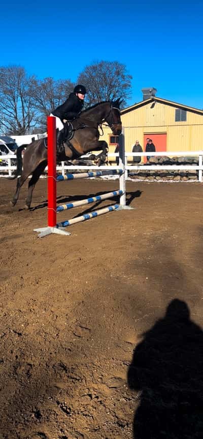 Inlägg 43 av Allround