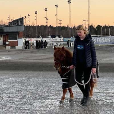 Inlägg 65 av Ponnytrav med titeln Ett år tillsammans med skumpa rumpa❤️