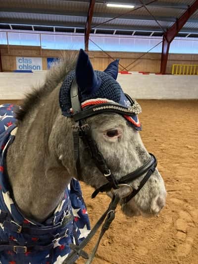 Inlägg 27 av Ponnytrav med titeln Klubbtävling 