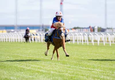 Inlägg 19 av Korsningsponny med titeln Ponnygalopp 