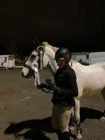 Post 306 of Show jumping with title Rios andra tävling