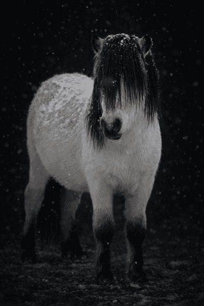 Lexie's Falling From Fame