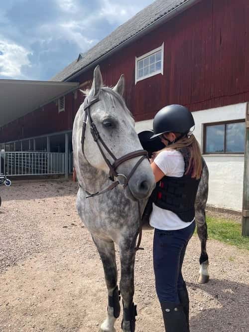 Bild av Maxad D-ponny