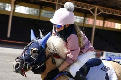 Inlägg 29 av Monté med titeln DPK’s ponnytravgala 2023 🏆