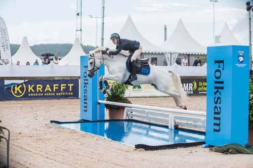 Bild av Tävlingsponny