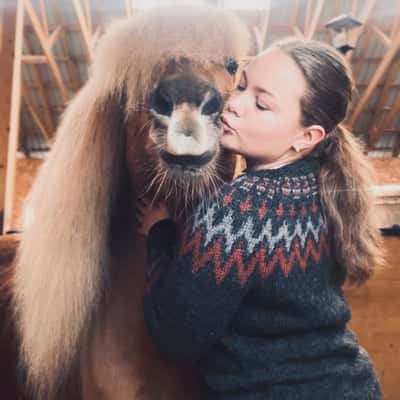 Inlägg 79 av Allround med titeln Hingste kos🧸🤍