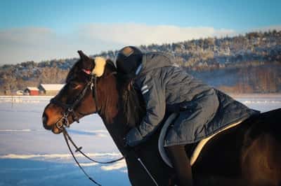 Inlägg 93 av Allround