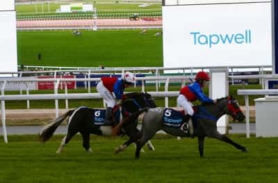 Inlägg 16 av Avel med titeln Ponnygalopp