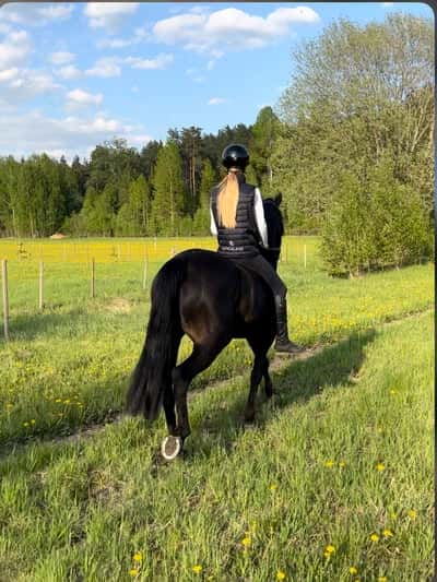 Inlägg 5 av Allround med titeln Sommar 2023🌸