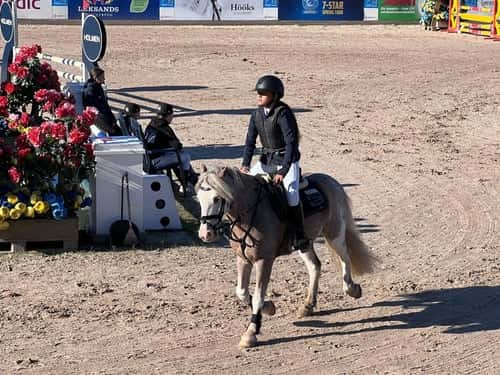 Bild av Världens snällaste B-ponny söker sitt nya hem!