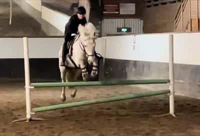 Inlägg 79 av Allround med titeln Första ”riktiga” hopp träningen 🐴❤️
