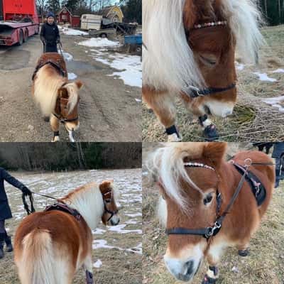 Inlägg 9 av Allround med titeln Åsså är jag gullig!!