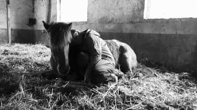 Inlägg 174 av Allround med titeln Throwback till 2016 ❤️ 