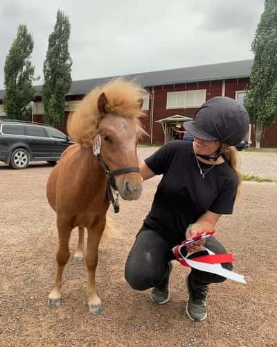 Post 62 of Show jumping with title Sommarpremiering
