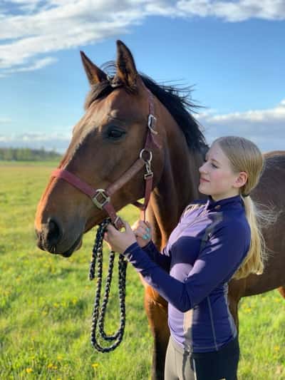 Inlägg 51 av Allround