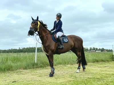 Post 408 of Show jumping with title Vår andra hopptävling! 