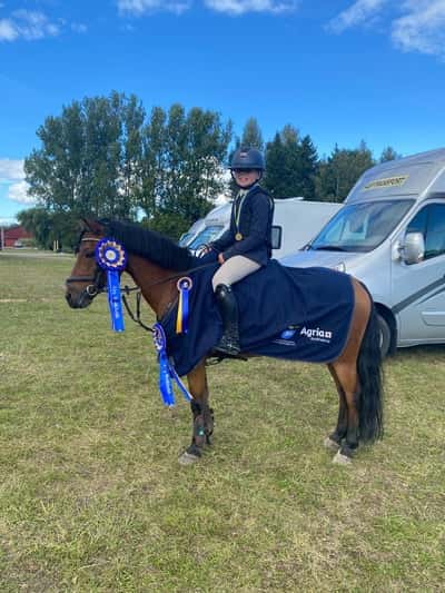 Post 277 of Show jumping with title ❤️❤️❤️