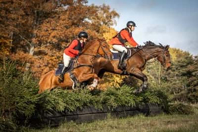 Inlägg 25 av Allround med titeln Hubertusjakt 