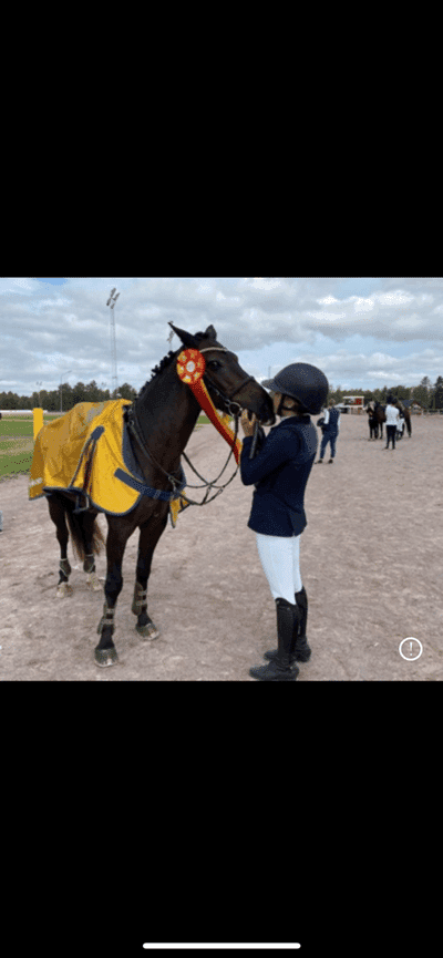 Post 414 of Show jumping with title SM guld 2021