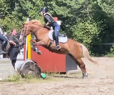 Inlägg 48 av Fälttävlan