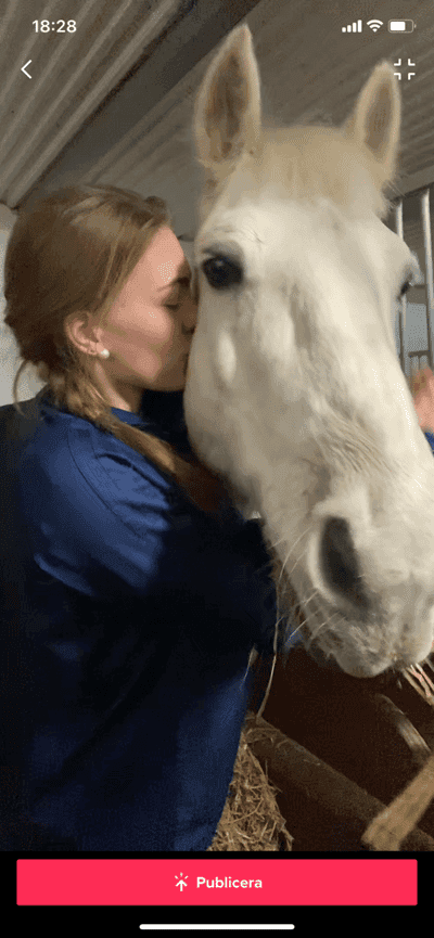 Inlägg 175 av Allround med titeln Godmorgon ❤️