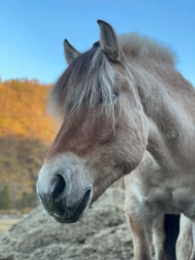 Inlägg 61 av Allround med titeln Vår i luften☀️🌸