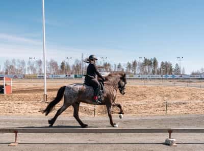 Inlägg 10 av Island med titeln Tävling