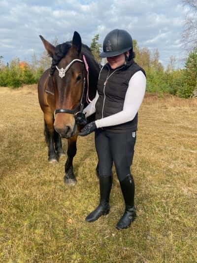 Post 48 of Show jumping with title Stolt över er 