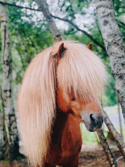 Inlägg 25 av Allround