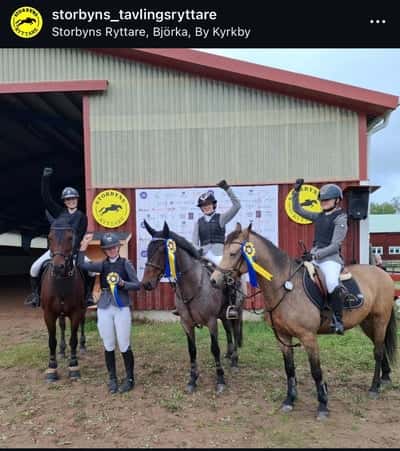 Inlägg 7 av Korsningsponny