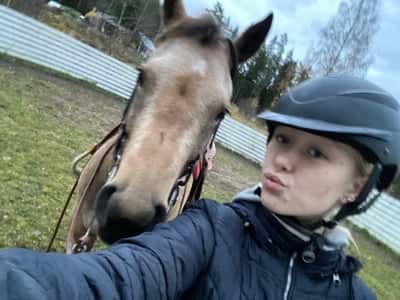 Inlägg 18 av Quarterhäst med titeln Skänkelträning idag 