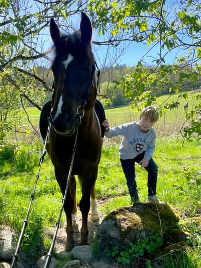 Inlägg 20 av New Forest med titeln 🍀🦄❤️‍🔥