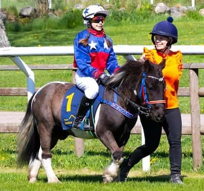 Inlägg 3 av Ponnygalopp med titeln Ponnygalopp 
