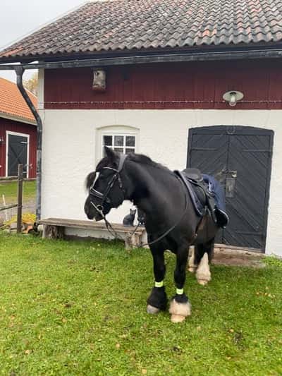 Inlägg 3 av Tinker med titeln Min fina mila