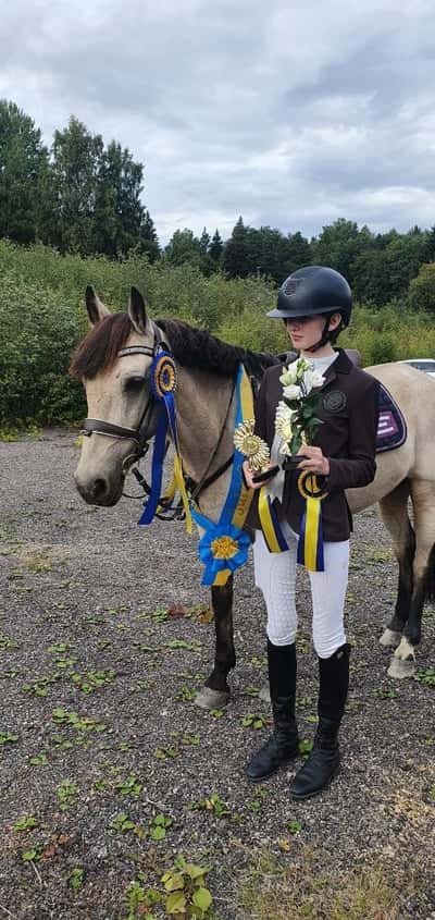 Post 286 of Show jumping with title ❤