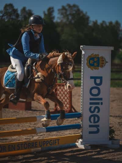 Inlägg 20 av Unghäst med titeln Hopptävling 