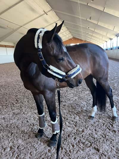 Inlägg 7 av SWB med titeln Million❤️❤️