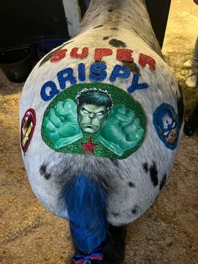 Inlägg 1 av Galopp med titeln Hästarnas mästare🏇🏼