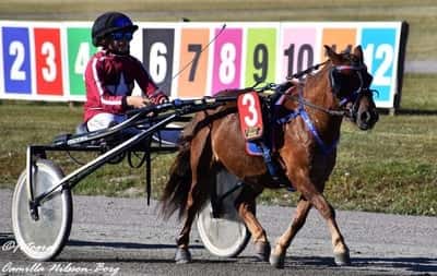 Inlägg 46 av Ponnytrav med titeln DPK’s Ponnytravgala 