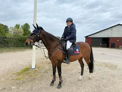 Inlägg 10 av Annan med titeln Adam och Olle felfria i 110 cm ⭐️