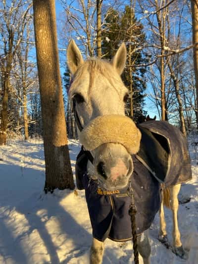 Inlägg 8 av Allround