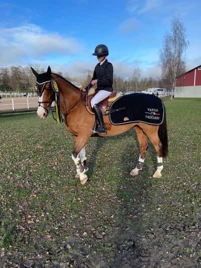 Post 337 of Show jumping with title Children SM 2022😍