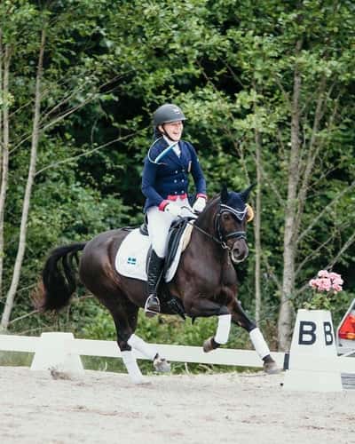 Inlägg 18 av Dressyr med titeln SM-Brons