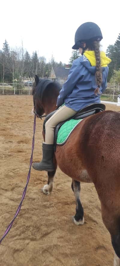 Post 17 of Para Equestrian with title Barnponny 