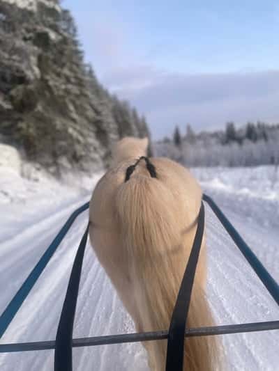 Inlägg 7 av Sportkörning med titeln Vinter ❄️