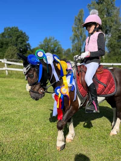 Post 80 of Show jumping with title Bruks SM 2024
