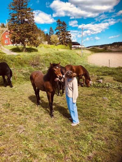 Inlägg 75 av Allround