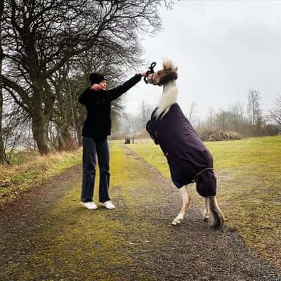 Inlägg 6 av Allround