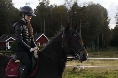 Inlägg 5 av Kallblodstravare med titeln Hoppträning